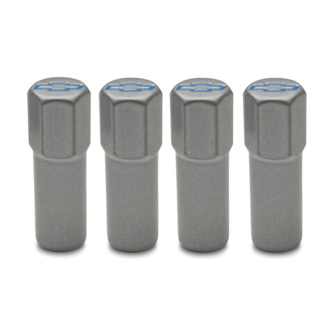 Engine Valve Cover Mini Nuts; Steel; Gray; Bowtie Logo; Studs Included;&nbsp;4pc
