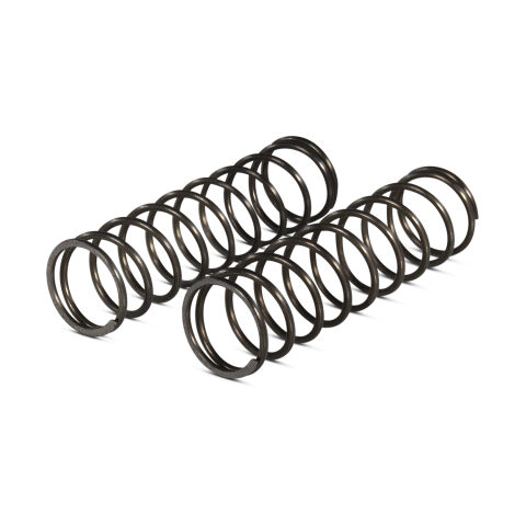 Engine Valve Check Springs; Light Pressure Style; Universal Type; One&nbsp;Pair